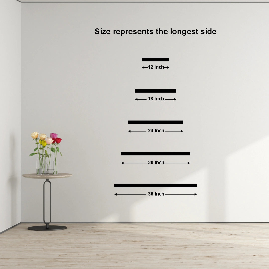 Sizing comparison Layout 