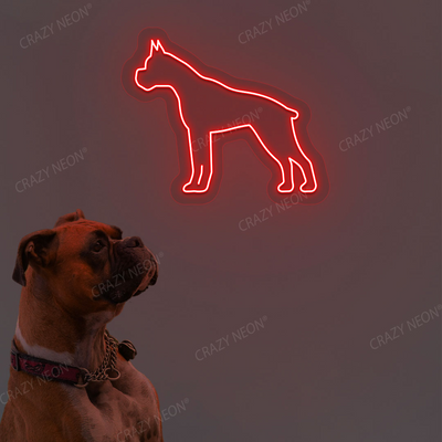 Boxer Dog Neon Sign | Red