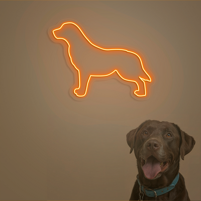 Labrador Neon Sign | Orange