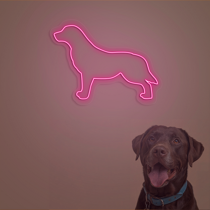 Labrador Neon Sign | Pink