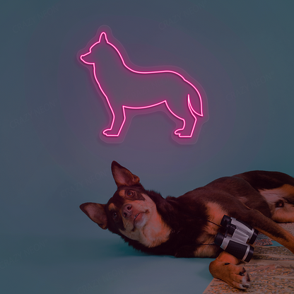 Husky Neon Sign | Pink