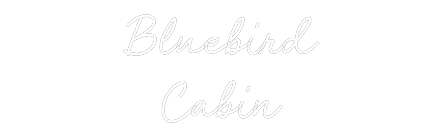 CN LED NEON: Bluebird
Cabin