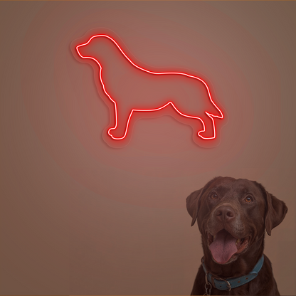 Labrador Neon Sign | Red