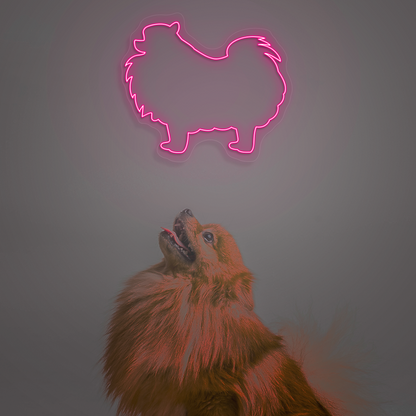 Pomeranian Neon Sign | Pink