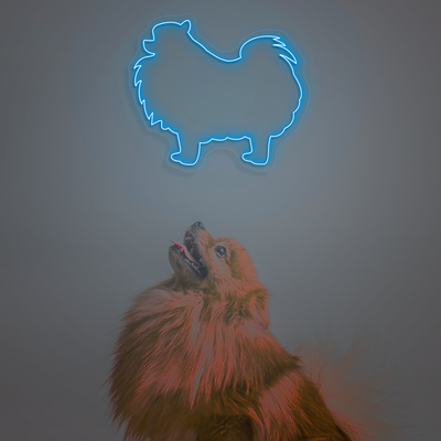 Pomeranian Neon Sign | Iceblue