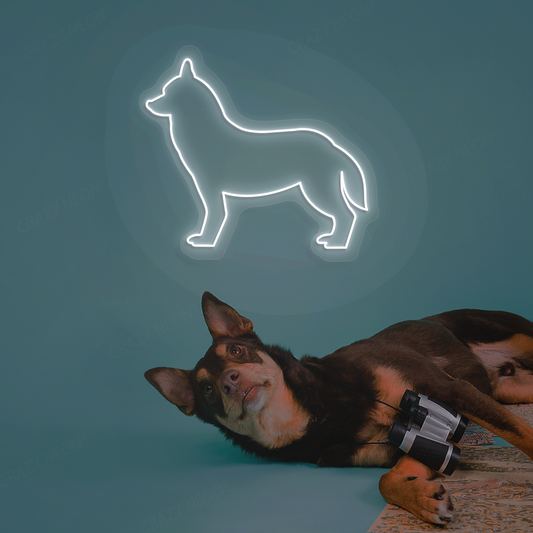 Husky Neon Sign | White