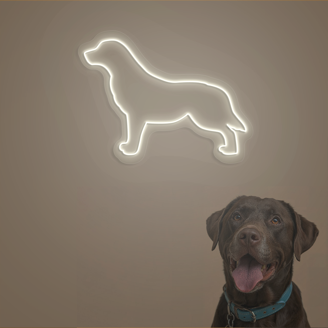 Labrador Neon Sign | Warmwhite