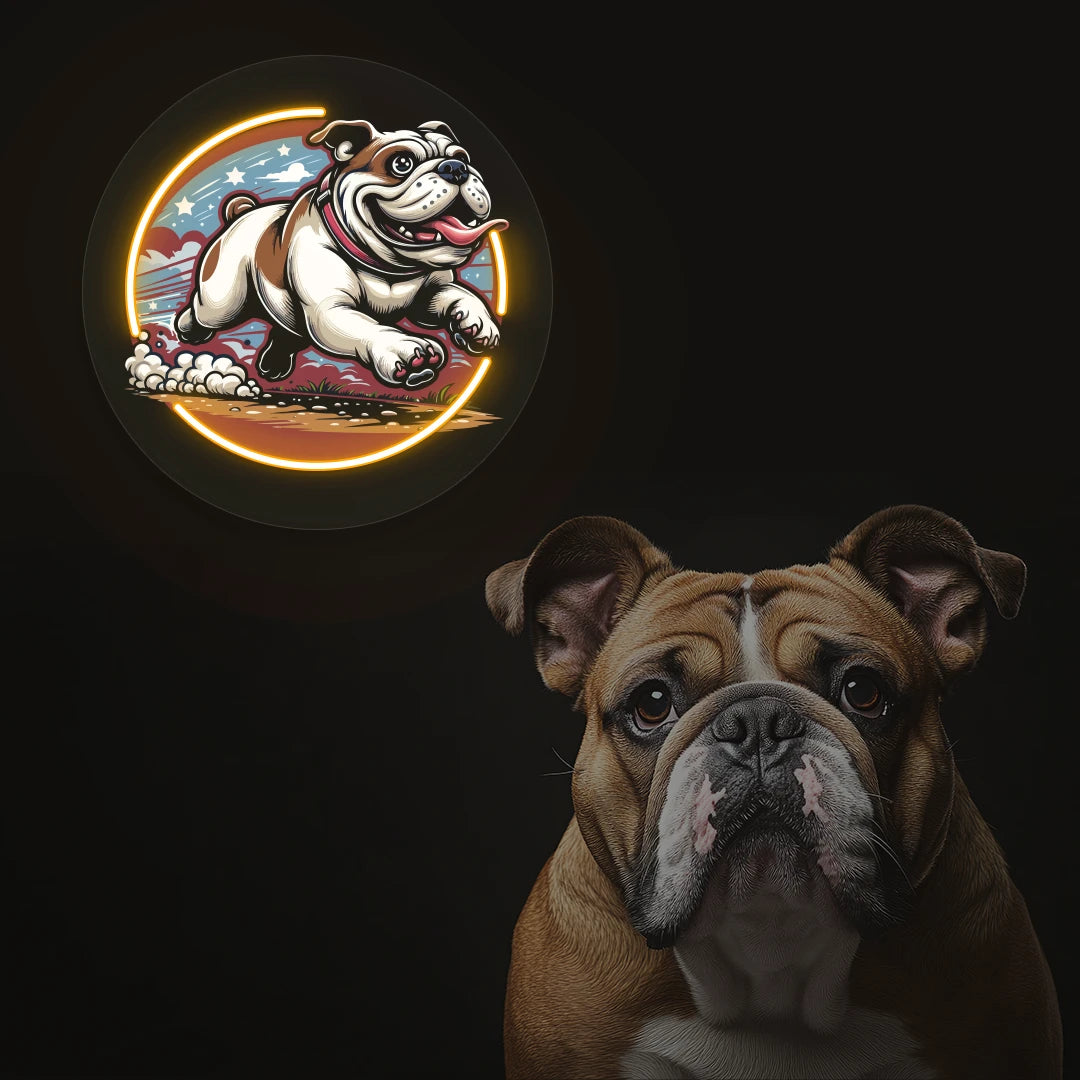Zoomies Bulldog Run Neon Artwork i orange color
