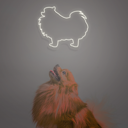 Pomeranian Neon Sign | White