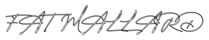 Outline Image