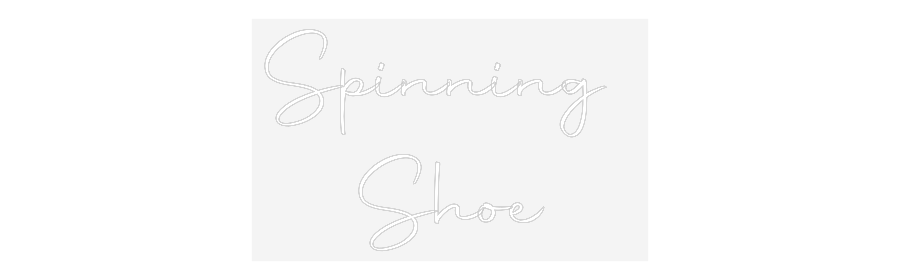 CN LED NEON: Spinning 
Shoe