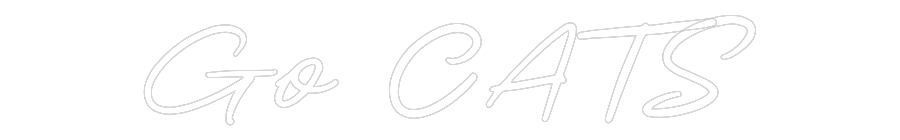 CN LED NEON: Go CATS